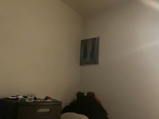 laylachole nude Live Sex Chat