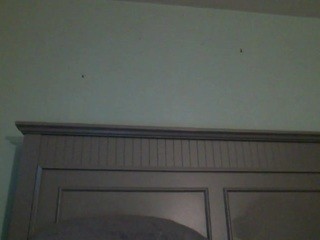 Reina’s Room nude Live Sex Chat