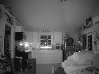 voyeurcam-bridgetleewalters-01 nude Live Sex Chat