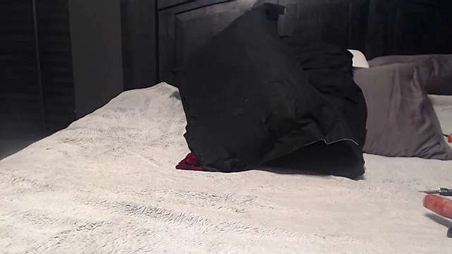 oinkoink35 naked stripping on cam for live sex video chat