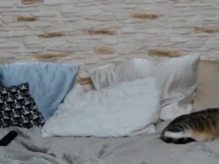 vickyvicster nude Live Sex Chat