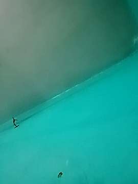 VISHAKHA_KUMARI naked stripping on cam for live sex video chat