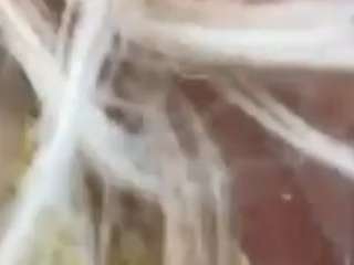 tiffanydoveloves nude Live Sex Chat