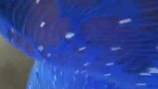 LilyStarfirex nude Live Sex Chat Show