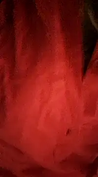 redellyy naked strip on cam for live sex video chat