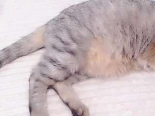 XsquirtQueenX nude Live Sex Chat Show