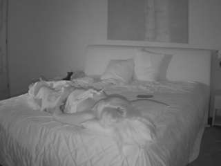 Julmodels Bedroom-E1 nude Live Sex Chat Show