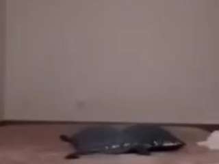 Renta27 nude Live Sex Chat Show