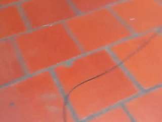 Jessi_and_boy nude Live Sex Chat Show