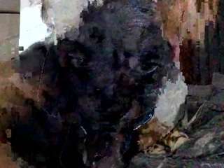 currentsea nude Live Sex Chat Show