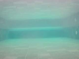 voyeurcam casa salsa pool 1 nude Live Sex Chat Show