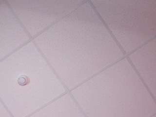 Lena-Banes nude Live Sex Chat Show