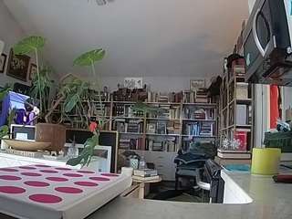 voyeurcam bridgetleewalters 02 nude Live Sex Chat Show