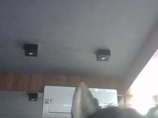 SkinnyKittenCam nude Live Sex Chat Show