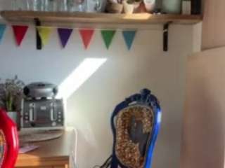 candyfloss543 nude Live Sex Chat Show