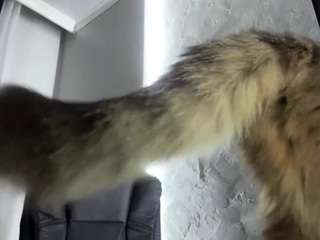 LucretiaLampsas nude Live Sex Chat Show